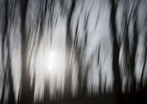 © Christophe Chammartin